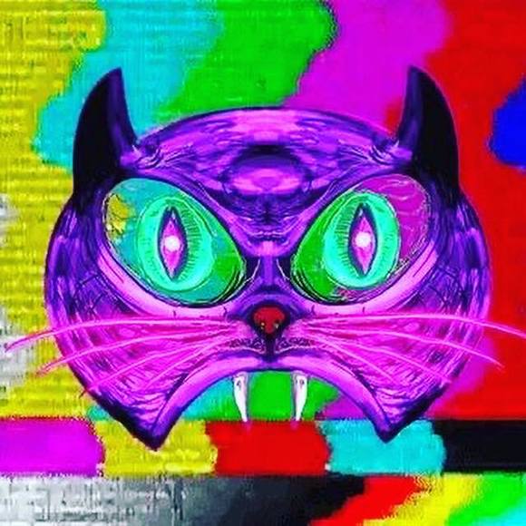allycat197666
